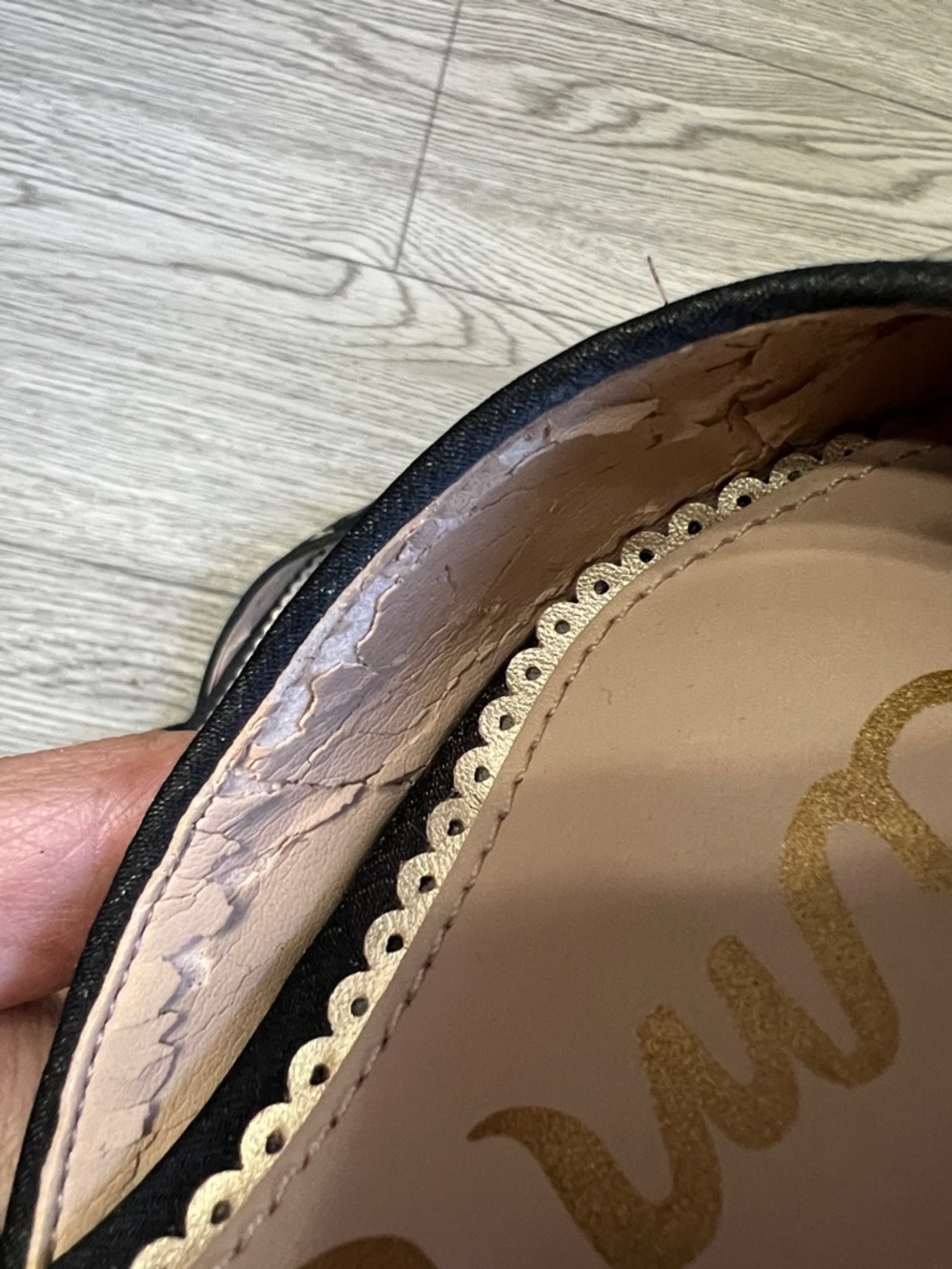 Sam Edelman Black Pointed D'Orsay Flats with Pink and Gold Floral Embroidery - Picture 11 of 12